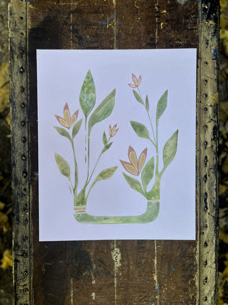 Botanical Beauty (D)