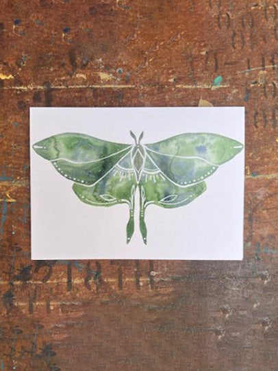 Luna Moth