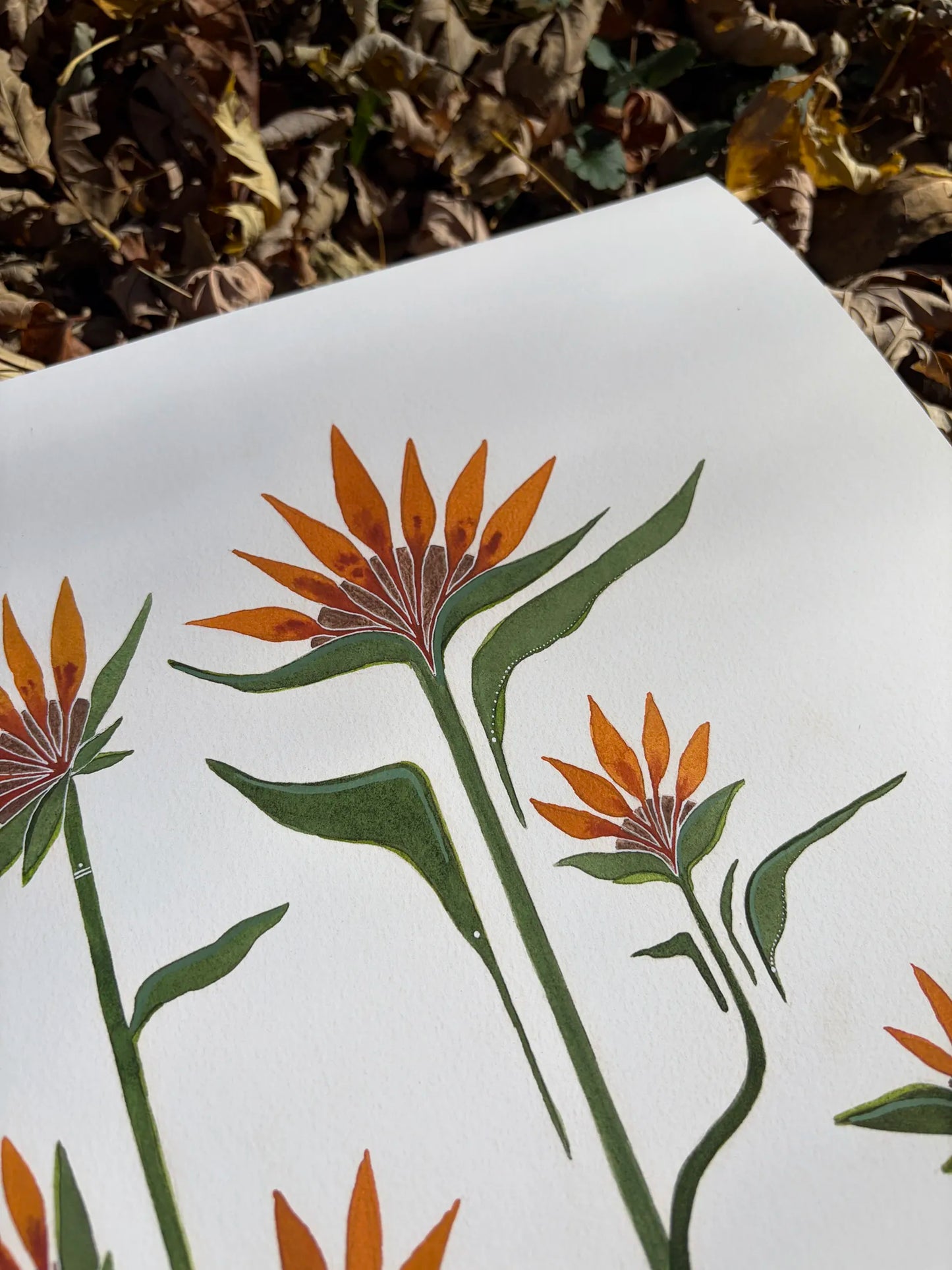 Sticks & Stones Will Make You Grow (16)