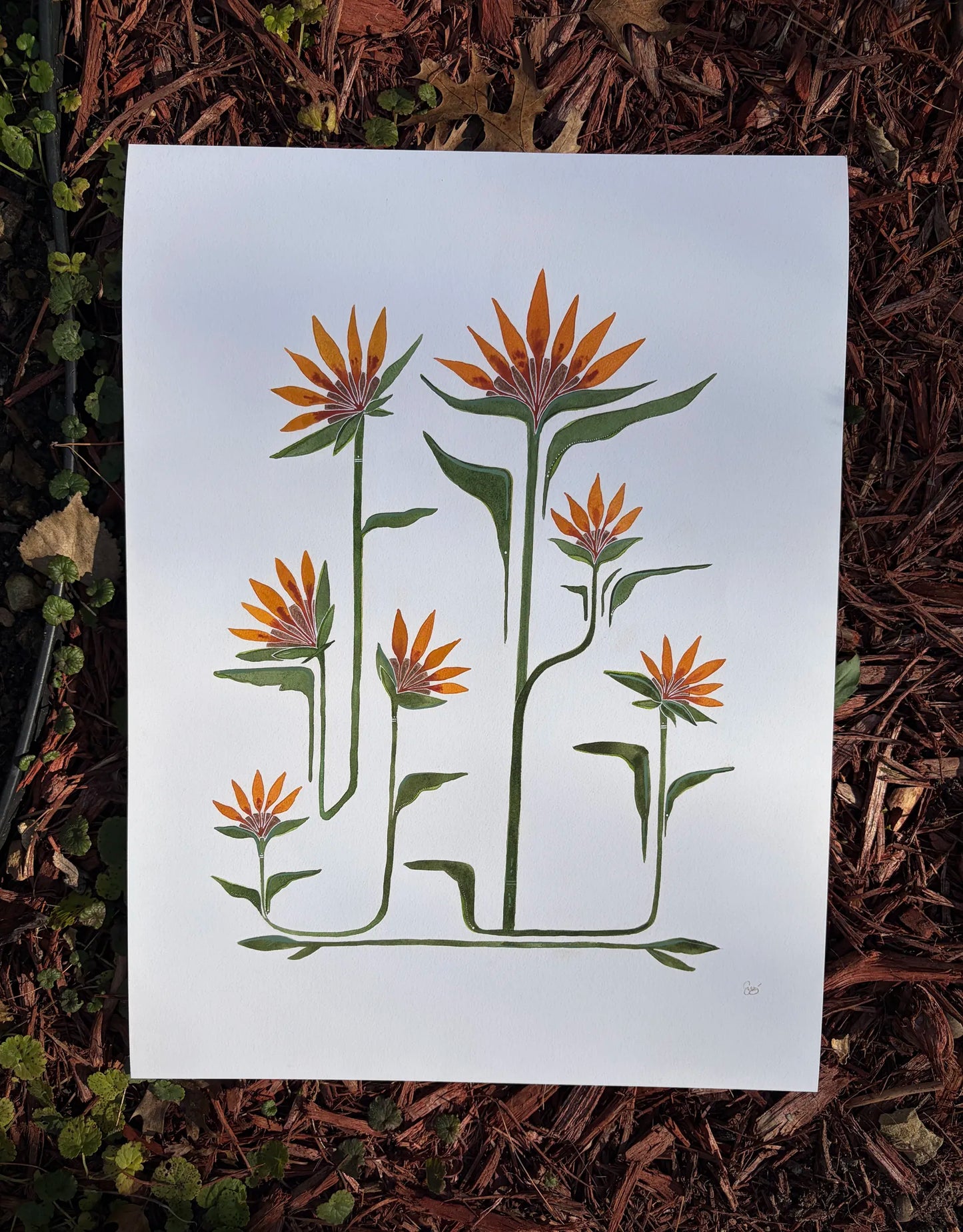 Sticks & Stones Will Make You Grow (16)