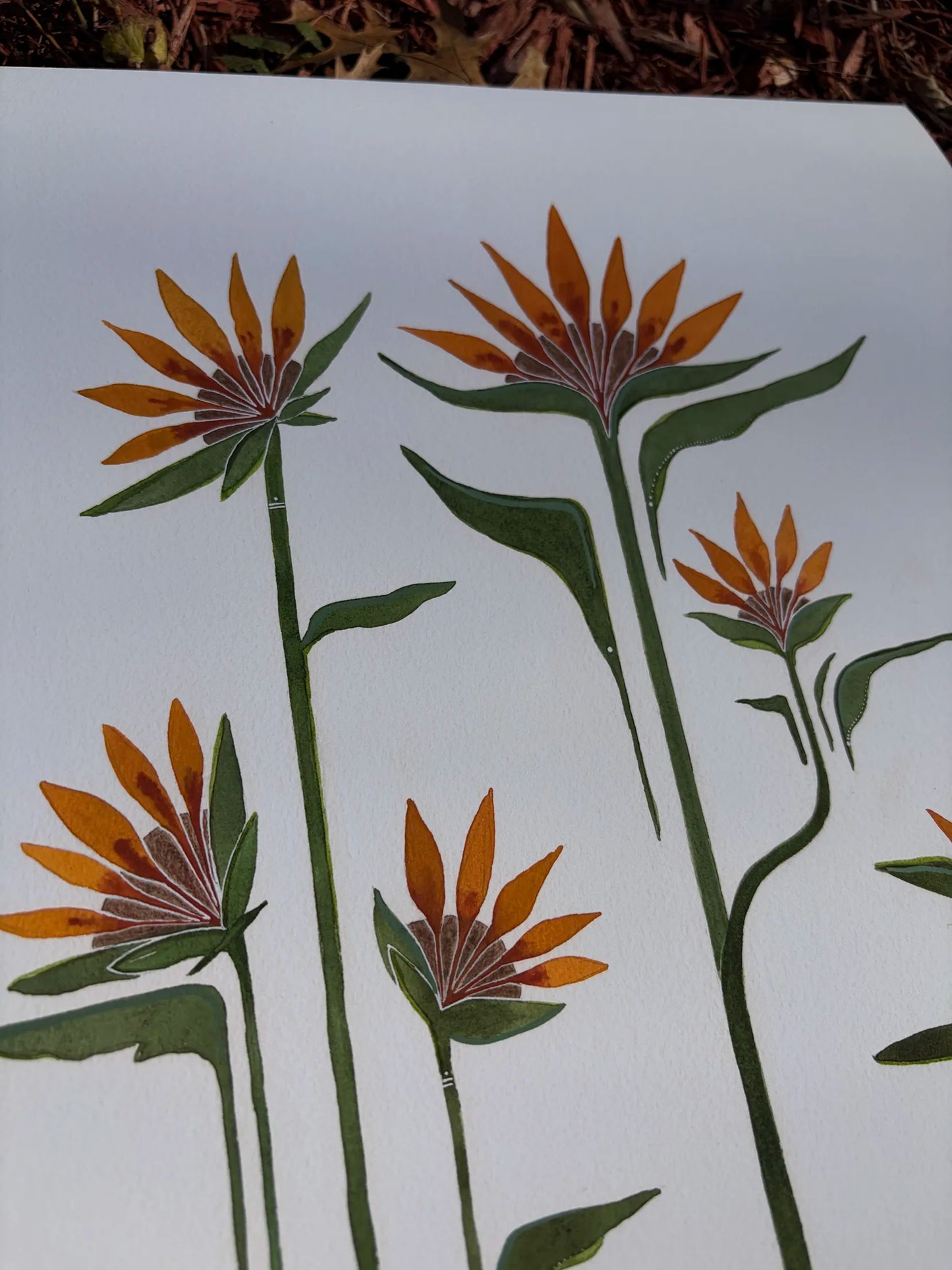 Sticks & Stones Will Make You Grow (16)