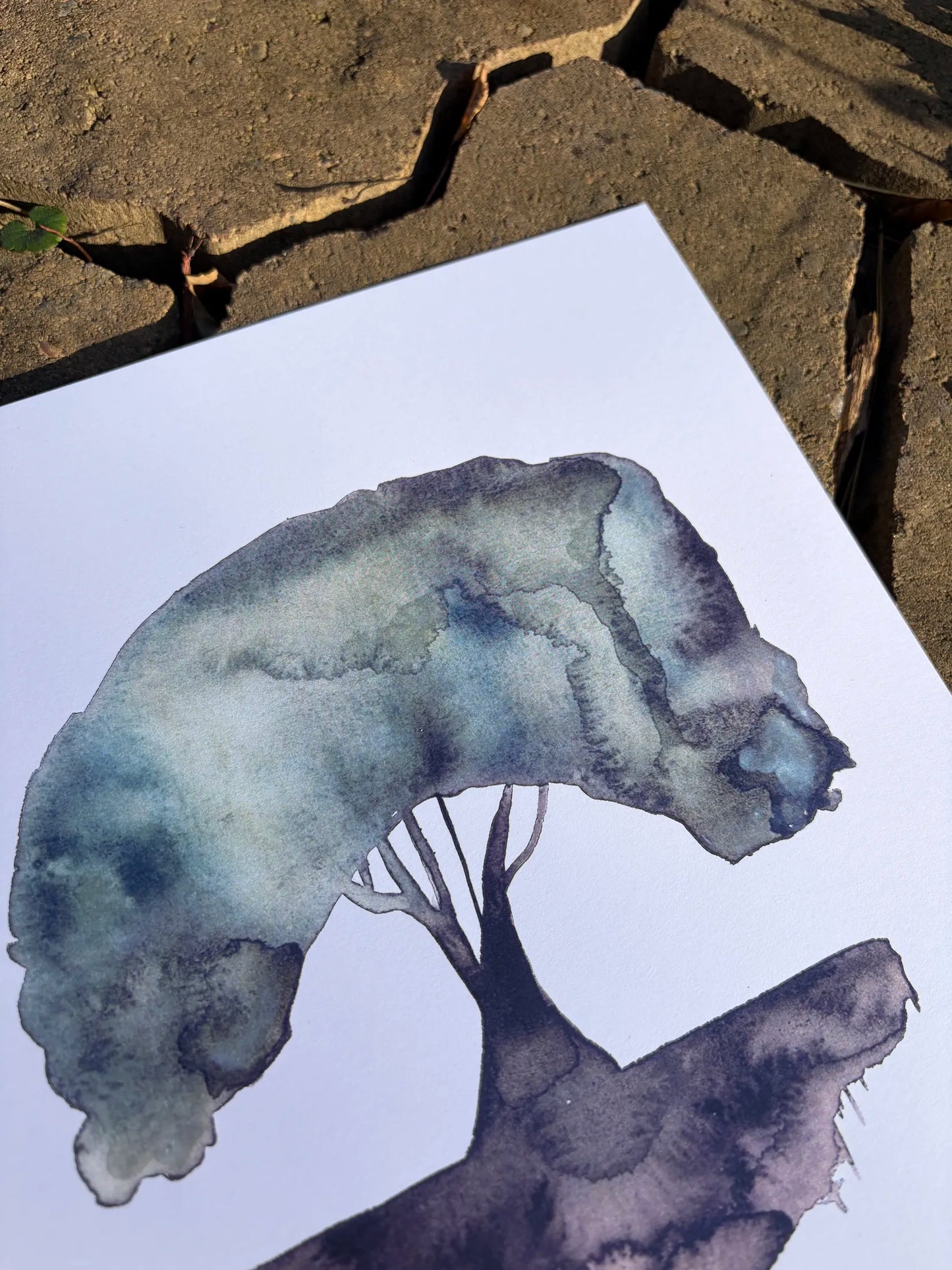 Sticks & Stones Will Make You Grow (L)